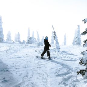 Skis or Snowboard?